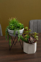 Premier Housewares Fiori Mixed Succulent With Metal Stand Artificial Plant Foliage - thumbnail 3