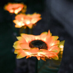 Gardenwize Pack Of 4 Solar Powered Sunflower Stake Lights Garden Pathway Walkway Lighting - thumbnail 2