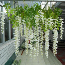 12Pcs Artificial Fake Hanging Silk Flowers Wisteria Vine Plant Garden Home Decor - thumbnail 6