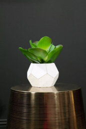 Premier Housewares Interiors By Premier Fiori White Cement Pot Faux Succulent, Decorative Artificial Plant With 3D Concrete Pot, Faux Botanical - thumbnail 3