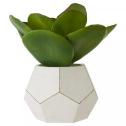 Premier Housewares Interiors By Premier Fiori White Cement Pot Faux Succulent, Decorative Artificial Plant With 3D Concrete Pot, Faux Botanical
