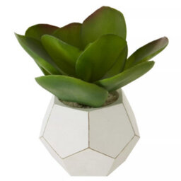 Premier Housewares Interiors By Premier Fiori White Cement Pot Faux Succulent, Decorative Artificial Plant With 3D Concrete Pot, Faux Botanical - thumbnail 2