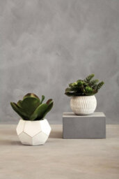 Premier Housewares Interiors By Premier Fiori White Cement Pot Faux Succulent, Decorative Artificial Plant With 3D Concrete Pot, Faux Botanical - thumbnail 7