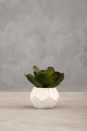 Premier Housewares Interiors By Premier Fiori White Cement Pot Faux Succulent, Decorative Artificial Plant With 3D Concrete Pot, Faux Botanical - thumbnail 6