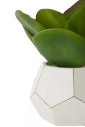 Premier Housewares Interiors By Premier Fiori White Cement Pot Faux Succulent, Decorative Artificial Plant With 3D Concrete Pot, Faux Botanical - thumbnail 9
