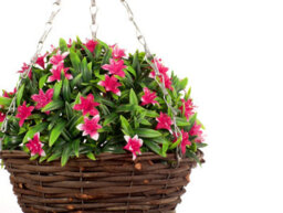 Best Artificial 28Cm Pink Lily Flower Rattan Wicker Hanging  Basket For Indoor Or Outdoor Use - thumbnail 2