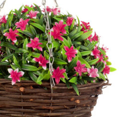 Best Artificial 28Cm Pink Lily Flower Rattan Wicker Hanging  Basket For Indoor Or Outdoor Use - thumbnail 3