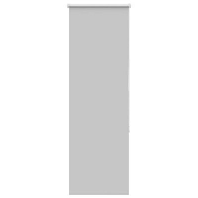 Walplus Light Grey Blackout Roller Blind 50X130 Cm, 45.7 Cm Fabric Width, Polyester - image 1