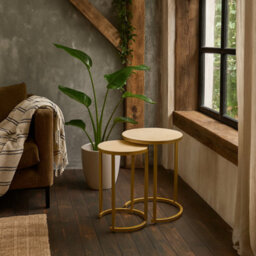 Wyld Haus Set Of 2 Buzios Cream Shagreen And Brass Nesting Tables
