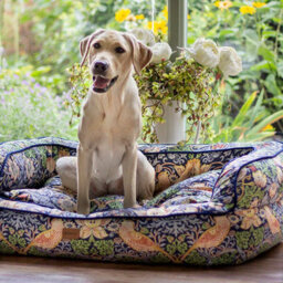 Morris & Co. Sofa Bed For Dogs, Navy Strawberry Thief Print, With Memory Foam For Extra Comfort, 68Cm X 55Cm, Medium - thumbnail 6