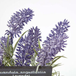 Homescapes Artificial Purple Handcrafted Lavender Plant In Decorative Pot, 20 X 12 Cm - thumbnail 5