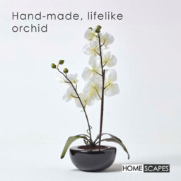 Homescapes Artificial Cream Handcrafted Oriental Style Orchids In Black Bowl, 54 Cm - thumbnail 2