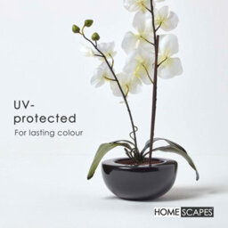 Homescapes Artificial Cream Handcrafted Oriental Style Orchids In Black Bowl, 54 Cm - thumbnail 5