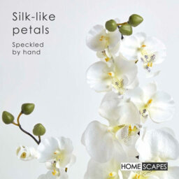 Homescapes Artificial Cream Handcrafted Oriental Style Orchids In Black Bowl, 54 Cm - thumbnail 3