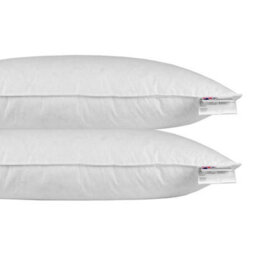 "Homescapes Goose Feather & Down Euro Continental Pillow Pair - 40Cm X 80Cm (16""x32"")" - thumbnail 1