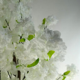 Leaf 150Cm Artificial White Cherry Blossom Tree - thumbnail 2