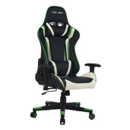 Rg-Max Gaming Office Chair With High Back, Padded Armrests & Adjustable Height - Green