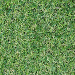 "Fern 20mm Soft Outdoor Artificial Grass, Value For Money, Pet-Friendly Artificial Grass-7M(23') X 4M(13'1"")-28M²" - thumbnail 6