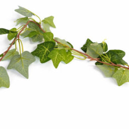 Leaf 160Cm Artificial Ivy Garland Trailing Hanging Plant Faux Foliage - Green - thumbnail 2