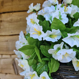 Best Artificial 75Cm Ivory White Morning Glory Trailing Flowers With Rattan Wicker Hanging Baskets For Indoor Or Garden Use - thumbnail 2