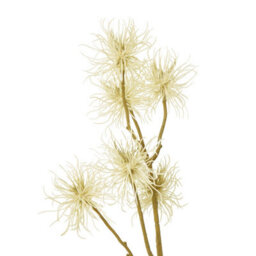 Wyld Haus Set Of 3 Cream Xanthium Artificial Flower Sprays 810mm - thumbnail 2