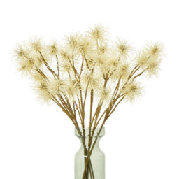Wyld Haus Set Of 3 Cream Xanthium Artificial Flower Sprays 810mm - thumbnail 3