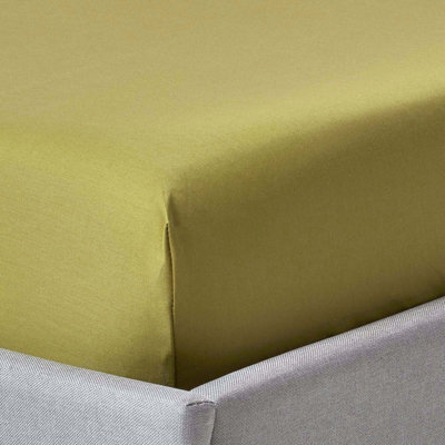 Homescapes Olive Green Egyptian Cotton Fitted Sheet 1000 Thread Count, Single - image 1