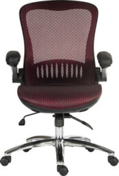 Teknik Harmony Mesh Executive Chair Red With Removable Headrest, Gas Lift Seat Height Adjustment And Tilt To Seat And Back - thumbnail 5