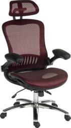 Teknik Harmony Mesh Executive Chair Red With Removable Headrest, Gas Lift Seat Height Adjustment And Tilt To Seat And Back - thumbnail 1