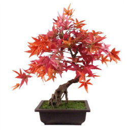 Leaf 50Cm Artificial Red Maple Bonsai Tree - thumbnail 1