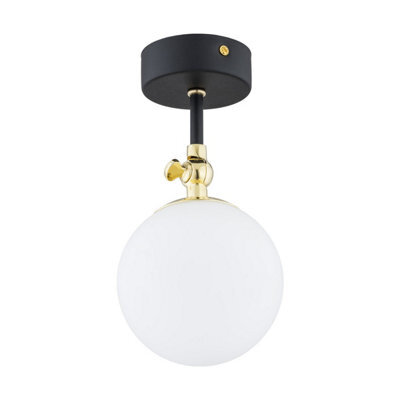 Luminosa Lighting Luminosa Latina Globe Ceiling Light Black Structure, Brass Steel Ip44 - image 1
