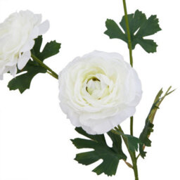 Hill Interiors The Natural Garden Collection Ranunculus Artificial Flower White (One Size) - thumbnail 2