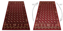 RugsX Wool Carpet Omega Buchara Frame, Circles Ruby 235X350 Cm - thumbnail 2