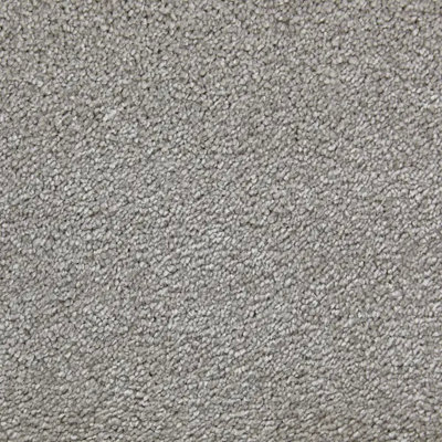 Bliss Luxury Deep Pile Bleach Cleanable Carpet By Remland (Frosted Steel, 5M X 4M)