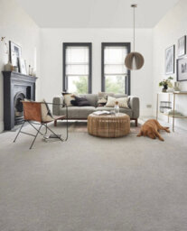 Bliss Luxury Deep Pile Bleach Cleanable Carpet By Remland (Frosted Steel, 5M X 4M) - thumbnail 2