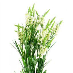 Leaf Pack Of 6 X 80Cm White Larkspur Artifical Stem