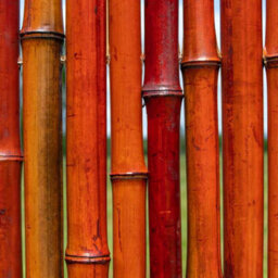 Primrose Thick Red Natural Bamboo Screening Roll Privacy Border Screen 1.9M X 1.8M - thumbnail 2