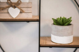 Marco Paul Modern Wooden Round Shaped 2 Tier Floating Shelves - Wall Mounted - thumbnail 3