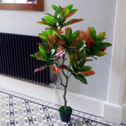 Leaf Artificial 130Cm Codiaeum Multicoloured Tree - thumbnail 3