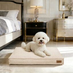 Bingopaw Orthopedic Dog Bed For Crate, 75X50X10Cm Dog Crate Bed For Aggresive Chewers, Khaki