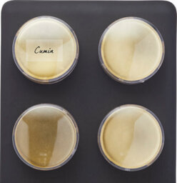 Masterclass Eight Jar Spice Rack With Matt Black And Brass Finish - thumbnail 9