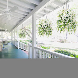 Artificial Outdoor Hanging Petunia Flowers, 2 Pieces Faux Petunias, Hanging Artificial Flowers, Weather Resistant, Uv Resistant - thumbnail 4