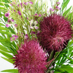 Leaf Pack Of 6 X 70Cm Globe Thistle Purple Ball Artificial Flower Stem - thumbnail 5