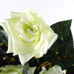Leaf Artificial Cream Rose Tree Wedding Twisted Vine Detail 90Cm (3Ft) - thumbnail 3