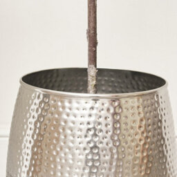 Melody Maison Large Silver Hammered Metal Planter - thumbnail 5