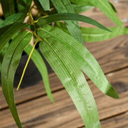 Artificial Bamboo Plant, 60Cm Tall - Realistic Trunk, Branches, Lichen, Leaves, Pot Included - thumbnail 8