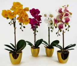 Leaf 46Cm Artificial Orchid White / Gold - thumbnail 4