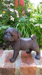 Inspirational Gifting Pug Dog Sculpture Garden Ornament - thumbnail 3