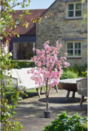 Smart Garden Marco Paul Artificial Pink Cherry Blossom Tree - 140Cm - thumbnail 9