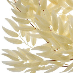 True Products Artificial Salix Leaf Champagne Vine Hanging Garland - 170Cm - thumbnail 1
